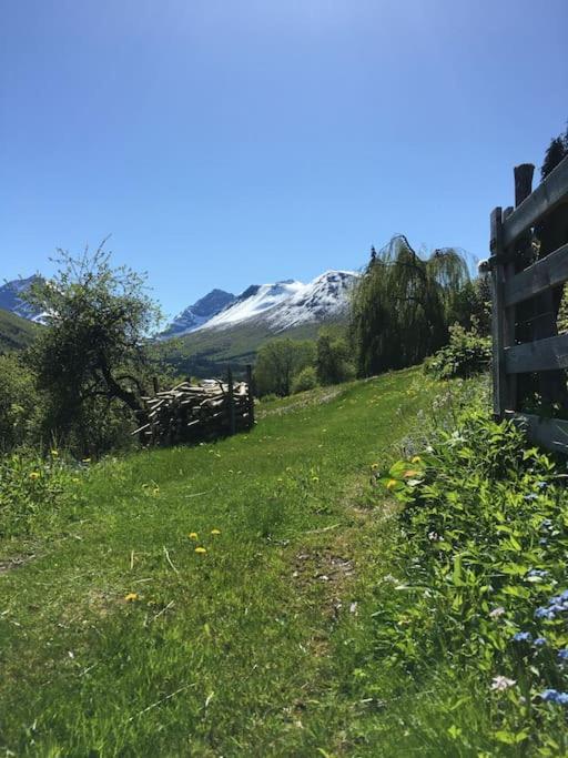 Moonvalley Lodge - Stort & Koselig Hus - Mandalen Exterior photo